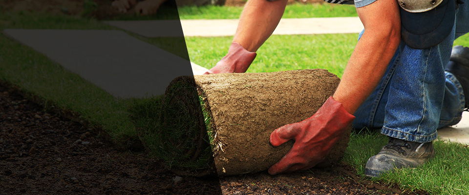 Barnesville Landscapers